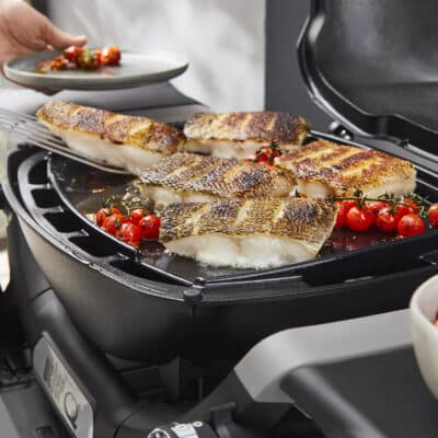 3400866 Weber Q1200N steikarplata